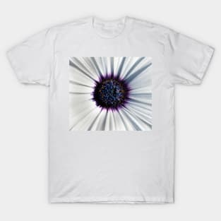 Closeup of white African daisy T-Shirt